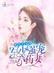 重生十七岁:军少强宠小药妻