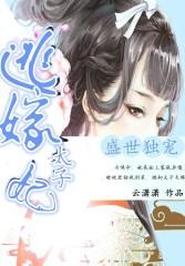 盛世独宠:逃嫁太子妃