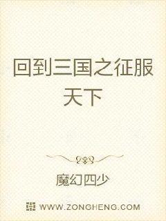 回到三国之征服天下