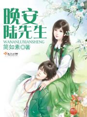 晚安,陆先生