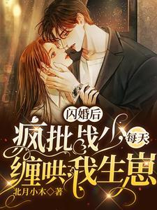 闪婚后,疯批战少每天缠哄我生崽