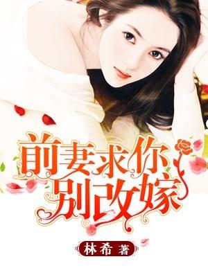 前妻,求你别改嫁