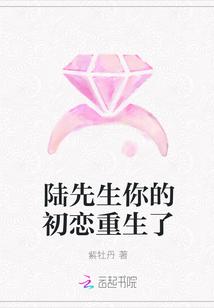 陆先生你的初恋重生了
