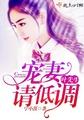 叶先生,宠妻请低调!