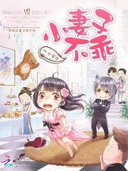 首席执行官,小妻子不乖