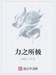 力之所极