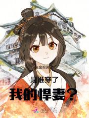 是谁穿了我的悍妻?!