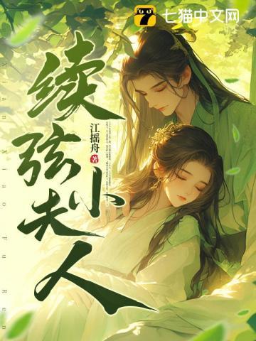 续弦小夫人