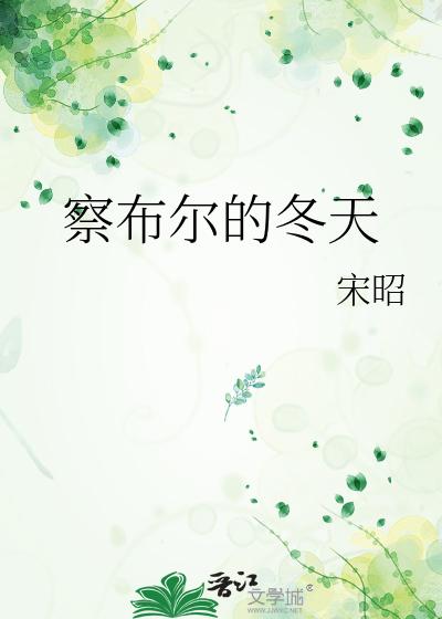 察布尔的冬天