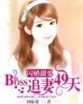 闪婚甜爱:BOSS追妻49天