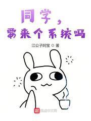 同学，要来个系统吗