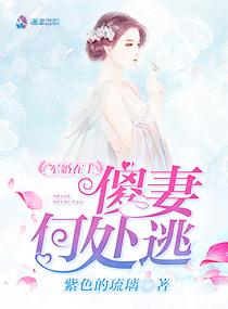 军婚在上,傻妻何处逃
