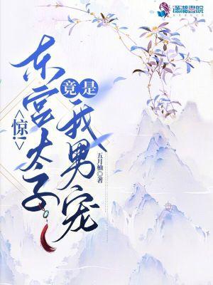 惊!东宫太子竟是我男宠