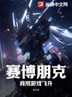 赛博朋克:我用游戏飞升