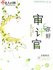 你好,审计官