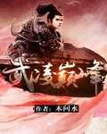 武凌巅峰