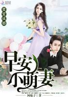 蜜爱成婚:早安,小萌妻