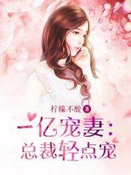 一亿宠妻:总裁轻点宠