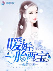 暖婚:一胎两宝