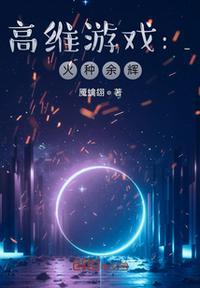 高维游戏:火种余辉