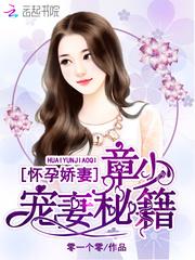怀孕娇妻:章少宠妻秘籍