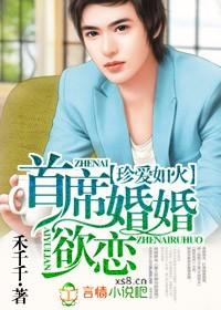 珍爱如火,首席婚婚欲恋
